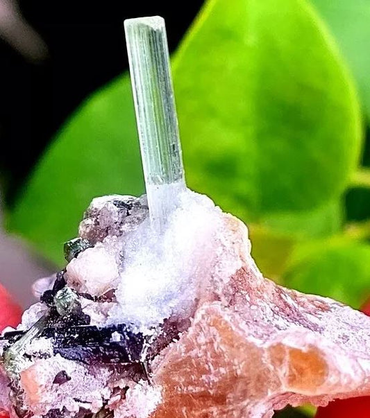 Ever seen an Aquamarine crystal & Green Tourmaline on mica? This cool material is mined in Pakistan! Let's learn about how it forms and how they mine something like this!