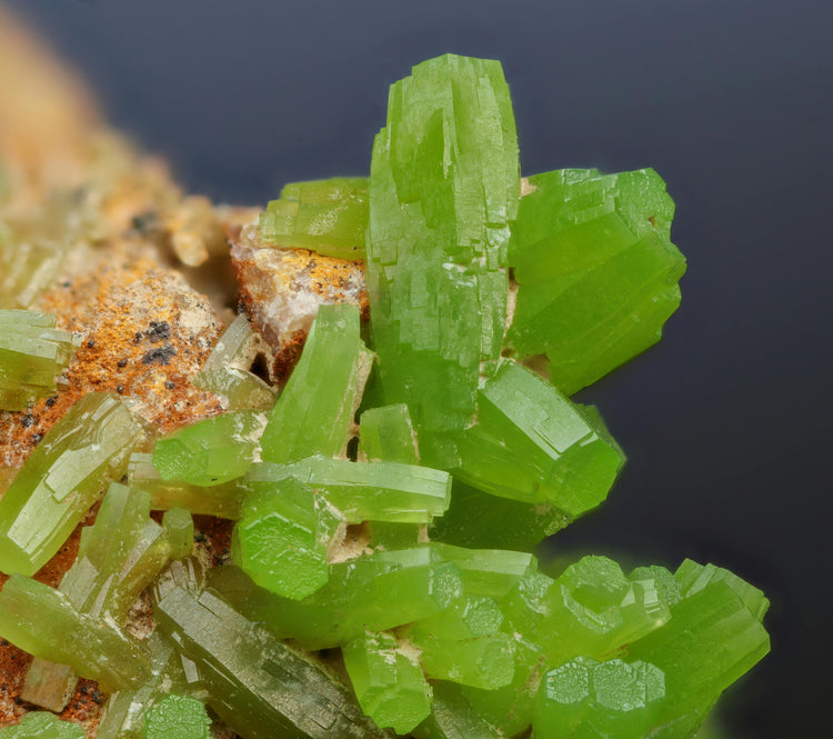 Gems & Minerals