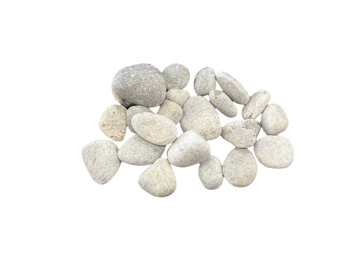 Petoskey Stone 3.7lb Bulk Bag - Lapidary Rough - Michigan