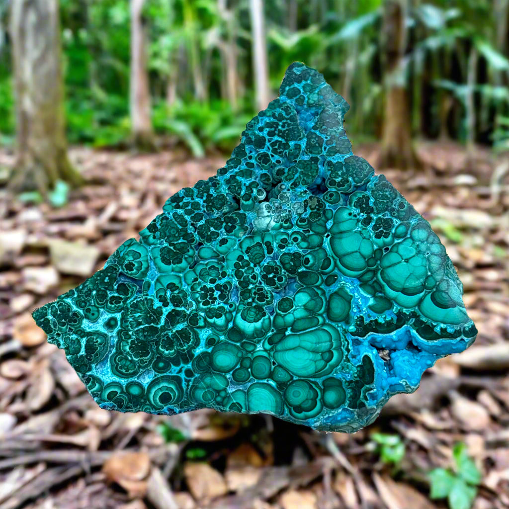 Polished Malachite Specimen, 191.97gr, 3x3x0.5"