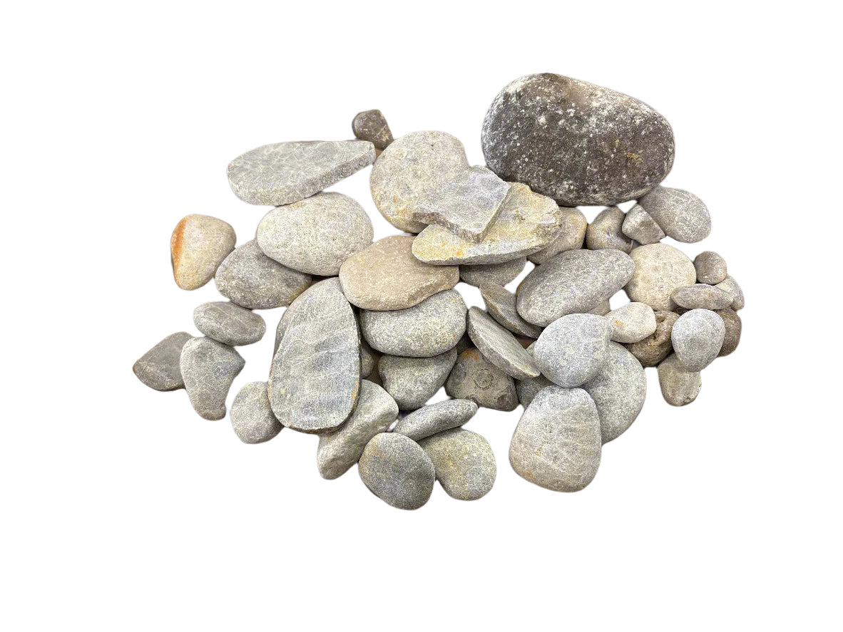 Petoskey Stone 2.6lb Bulk Bag - Lapidary Rough - Michigan