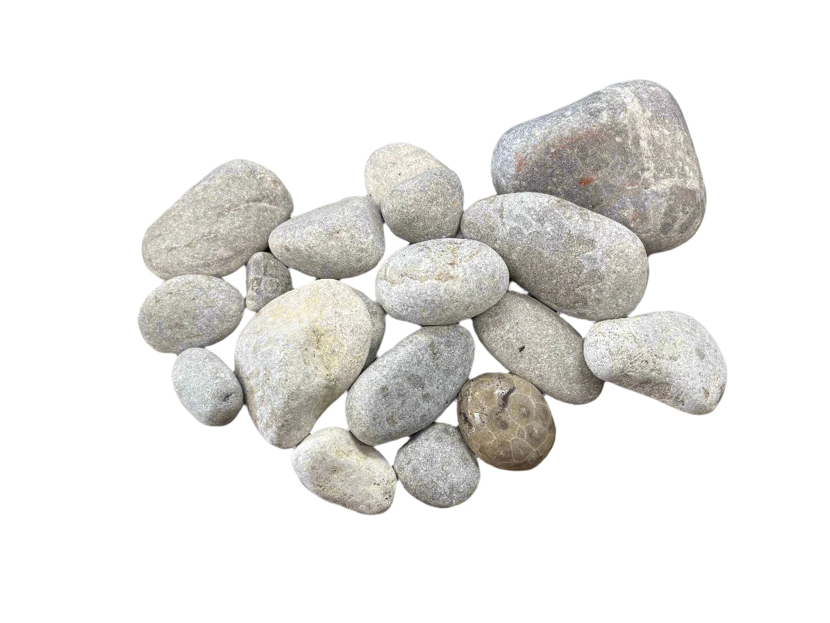 Petoskey Stone 3.9lb Bulk Bag - Lapidary Rough - Michigan