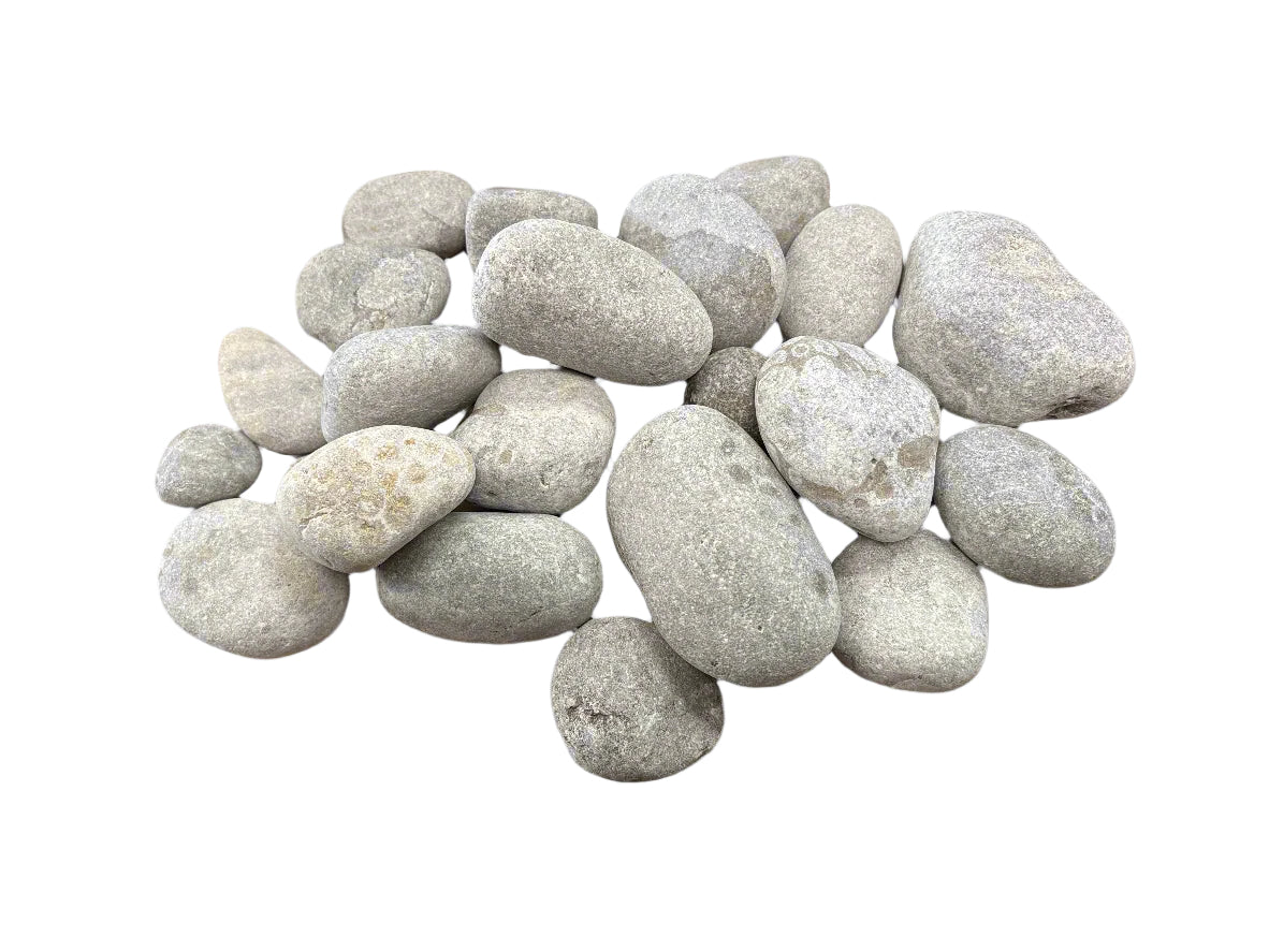 Petoskey Stone 3.2lb Bulk Bag - Lapidary Rough - Michigan