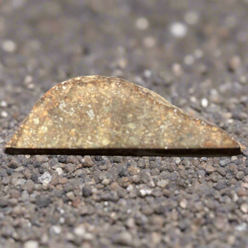 Sahara 99228 Meteorite, Found August 1999, 6.4gr.