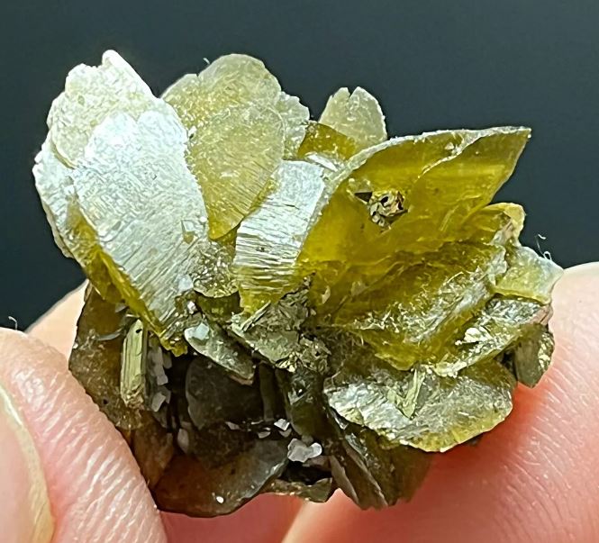 Ever Heard of Siderite With Golden Pyrite? How Does this form?