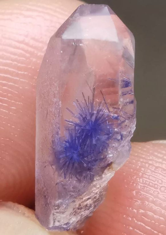 Ever seen Blue Dumortierite in Quartz? How does this form inside the Quartz? What conditions are required? Let's learn all about it!