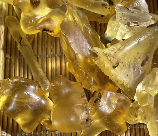 Ever seen Amber from the Baltic Sea? Why are there bugs inside of it and how does this form?