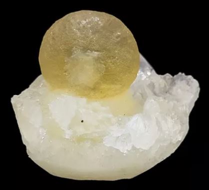 Embrace the funkiness' of this Honey Yellow Botryoidal Fluorite on Quartz! Where is it from, how does it form, and why does it look so odd?