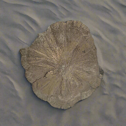 Pyrite Suns, Indiana, USA, 175gr, 10.5cm Across
