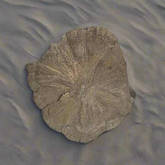 Pyrite Suns, Indiana, USA, 175gr, 10.5cm Across