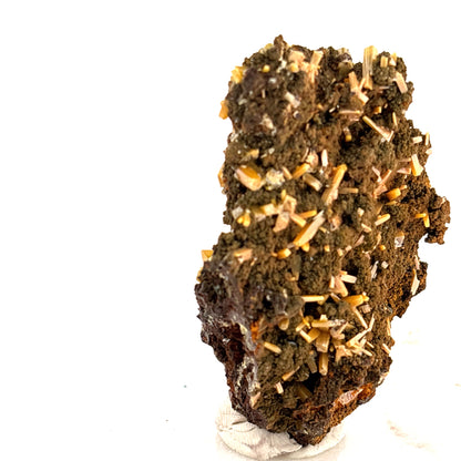 Wulfenite on Mimetite, Mined 2008 Durango Mexico 7x4x2cm