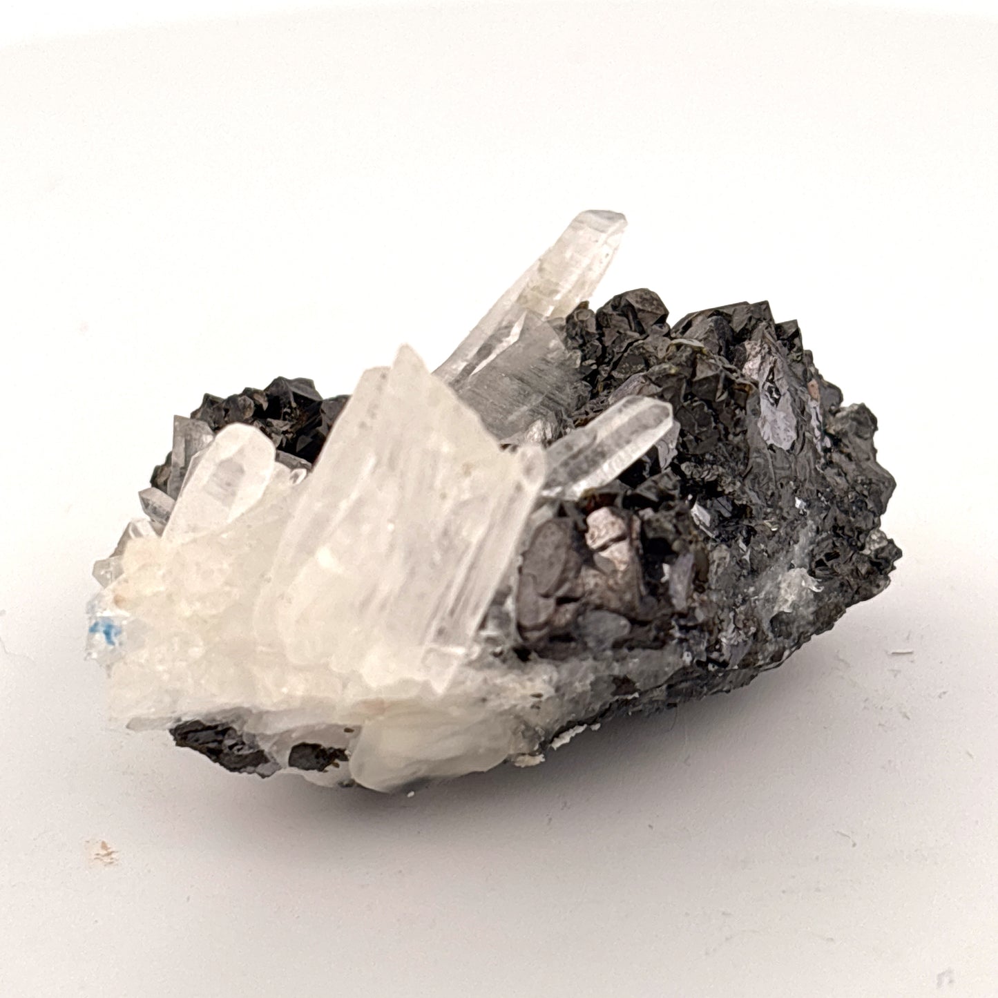 Quartz & Galena Cluster, Madan Mine, Bulgaria 51.72gr
