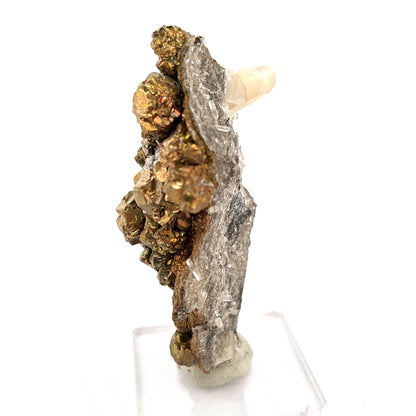 Pyrite & Quartz, Sweetwater Mine, Reynolds Co., MO, USA Mined 2007, 198.21gr