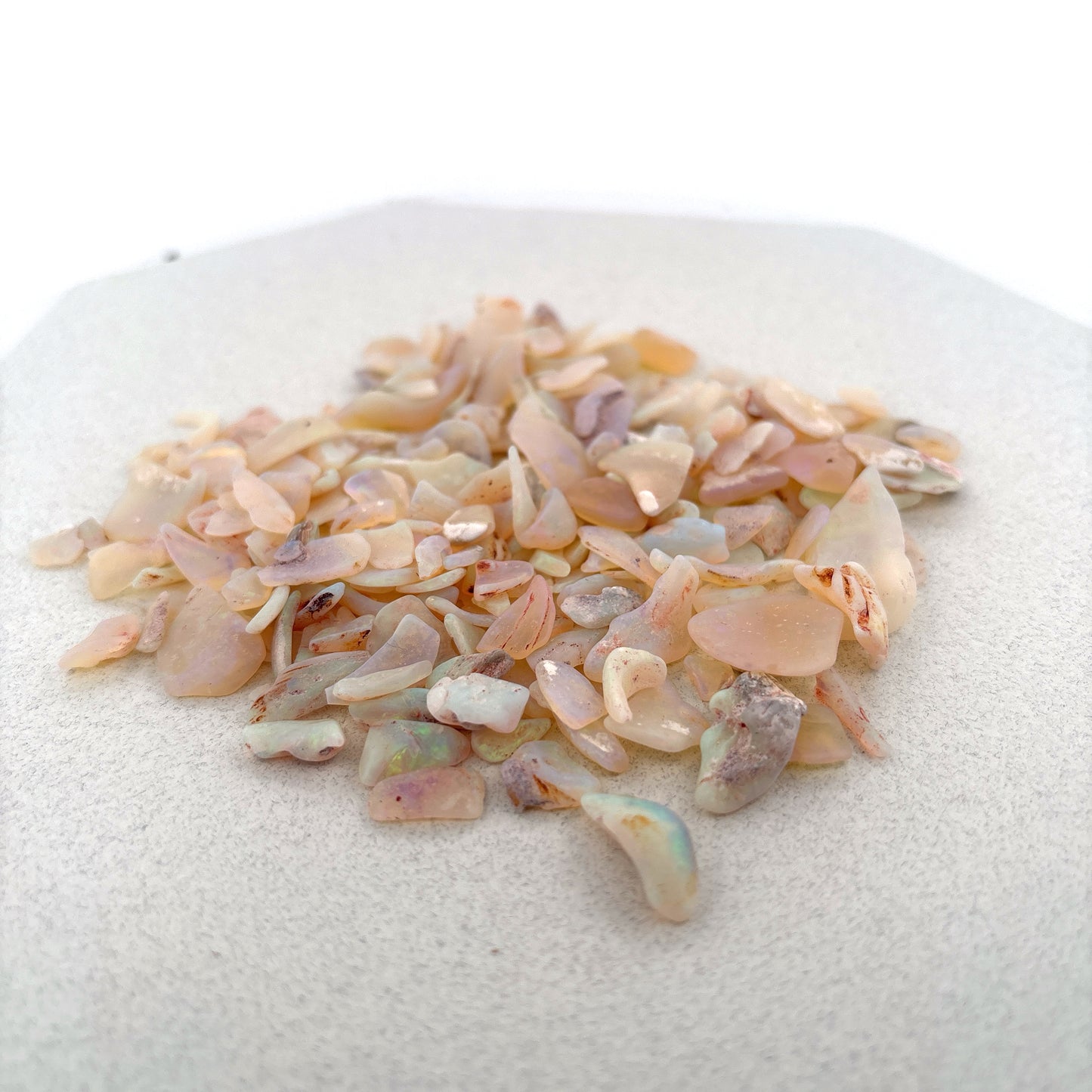 Opalized Shell Fragments from Australia, 225.8ct Parcel