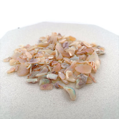 Opalized Shell Fragments from Australia, 225.8ct Parcel