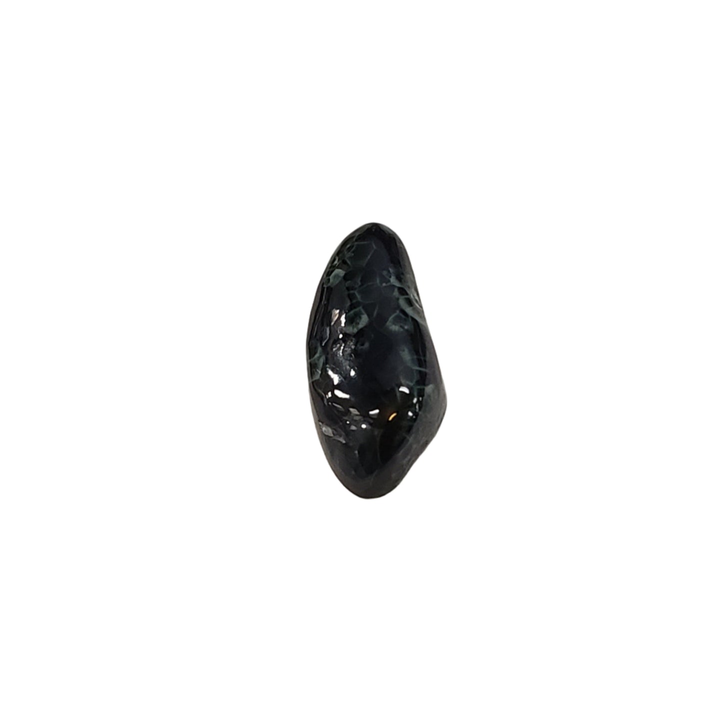 Free Form Central Michigan Greenstone Cabochon 14.83ct 25x11x7mm