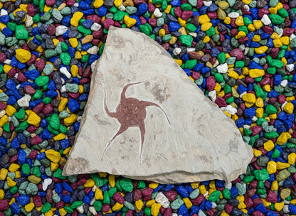 Starfish Fossil, Morocco, 22x18cm, 1164gr
