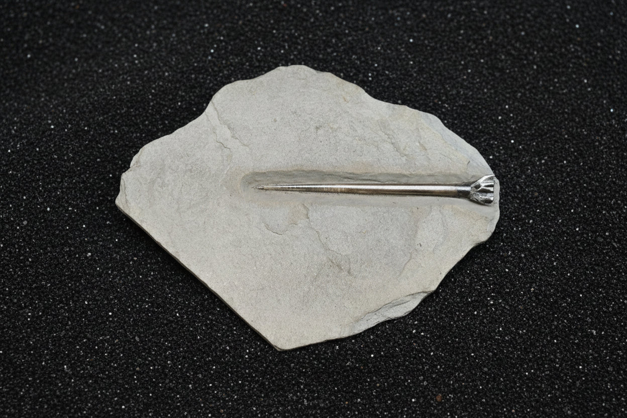 Belemnite Specimen, Posidonia Shale formation, 20x18cm, 520gr