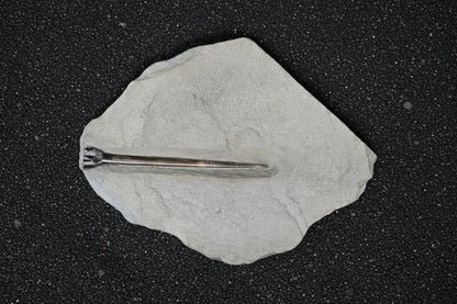 Belemnite Specimen, Posidonia Shale formation, 20x18cm, 520gr