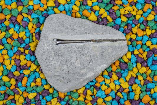 Belemnite Specimen, Posidonia Shale formation, Germany, 23x20cm 1302gr