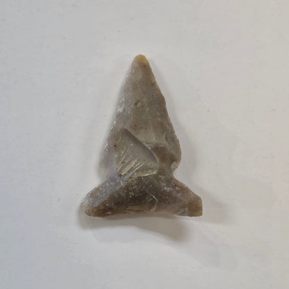 Michigan Arrow head, Native American 300 Years old, Found in VanBuren / Berrian area