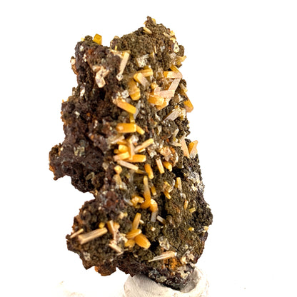Wulfenite on Mimetite, Mined 2008 Durango Mexico 7x4x2cm