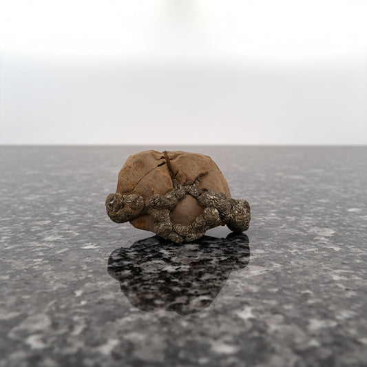 Pyrite on Limonite Clay, 9x5x4cm, 248gr, Supat Mine, Mansehra, Pakistan