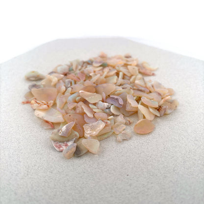 Opalized Shell Fragments from Australia, 225.8ct Parcel