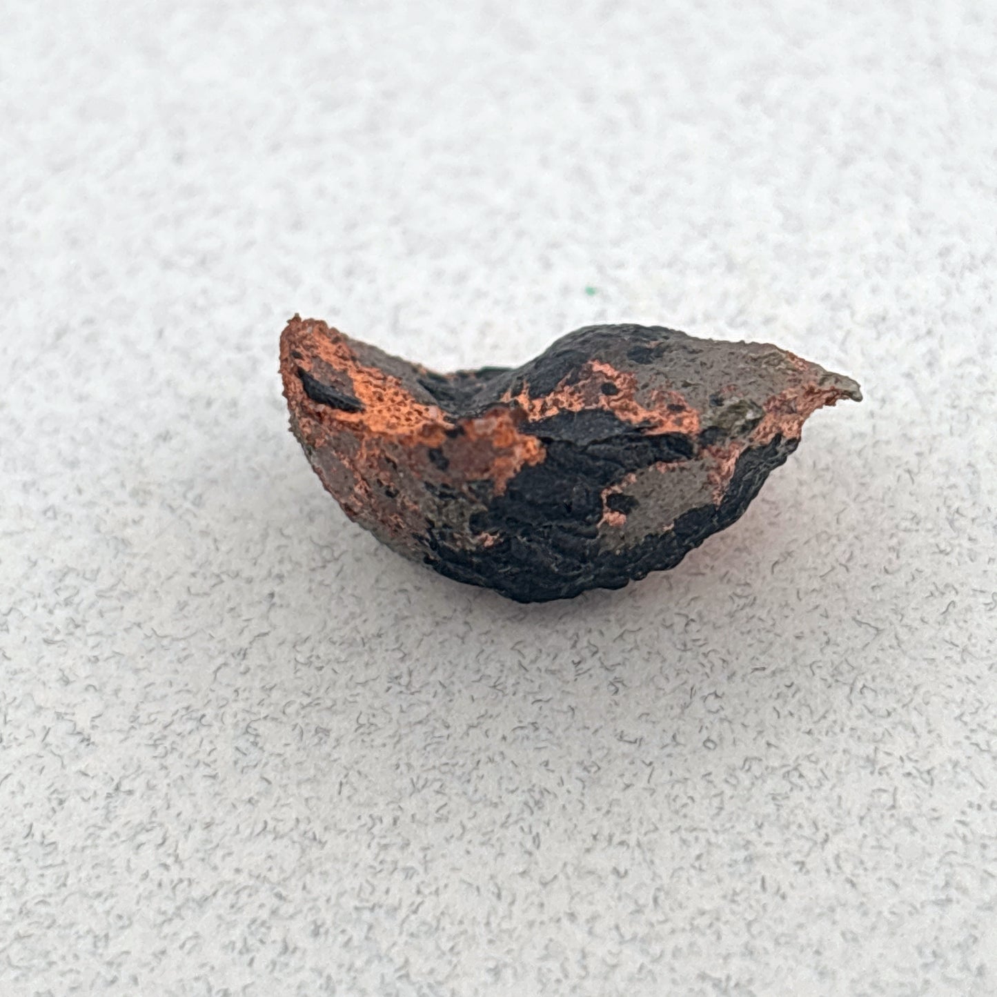 Raw Copper Replacement Agate, 12.8ct 20x17x8mm