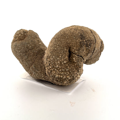RARE, Pyritized Limestone Sea Worm Burrow, Ross Co., OH, USA, 681gr, 10x7x6.5cm