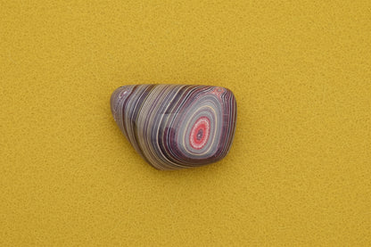 Corvettite Free From, 27.72ct, 29x21x13mm "Fordite" Bowling Green, KY, USA