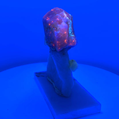 Fluorescent Hackmanite & Calcite on Quartz, Pakistan, 183.74gr