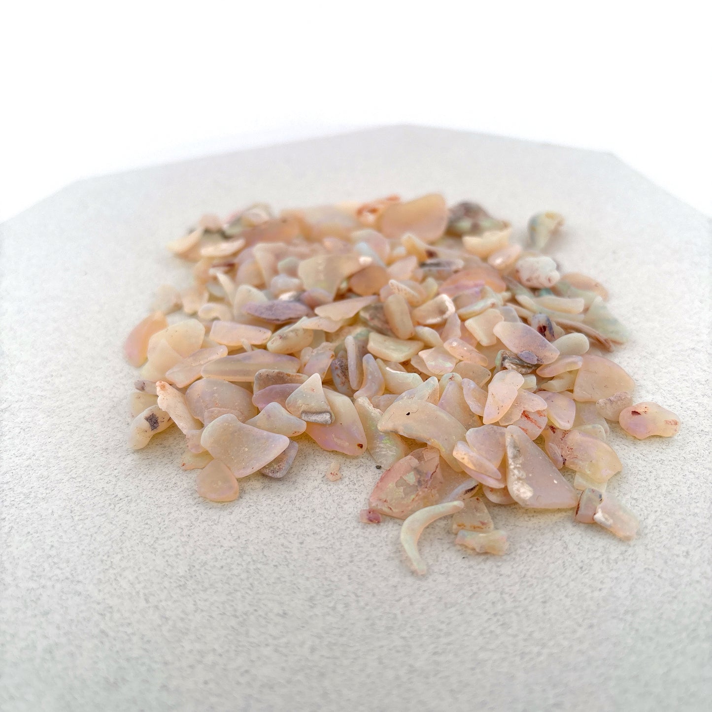 Opalized Shell Fragments from Australia, 225.8ct Parcel