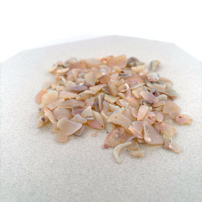 Opalized Shell Fragments from Australia, 225.8ct Parcel