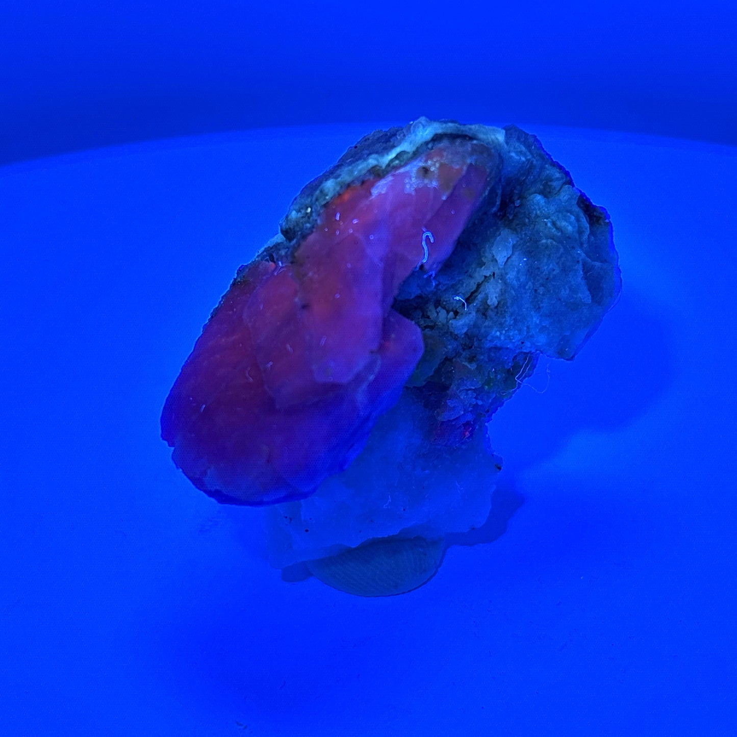 Fluorescent Hackmanite & Calcite on Quartz, Pakistan, 38.95gr