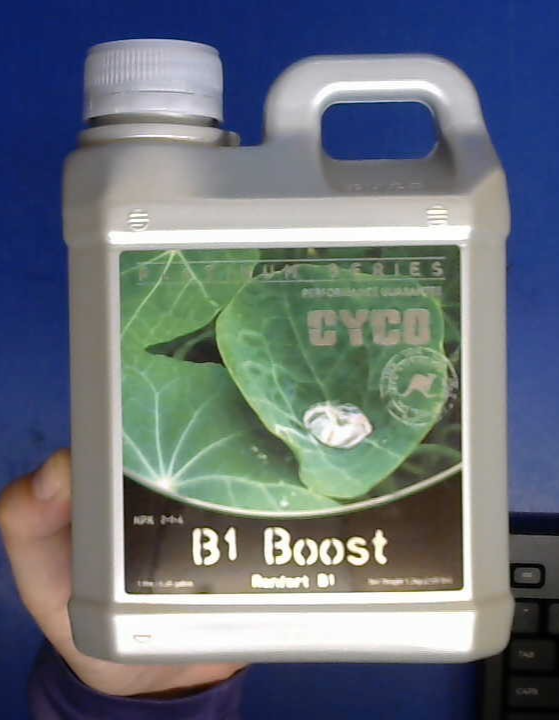 CLOSEOUT Cyco B1 Boost 1L