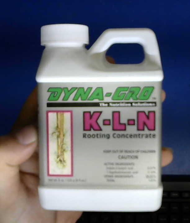 CLOSEOUT Dyna-Gro KLN Rooting Concentrate - 8oz