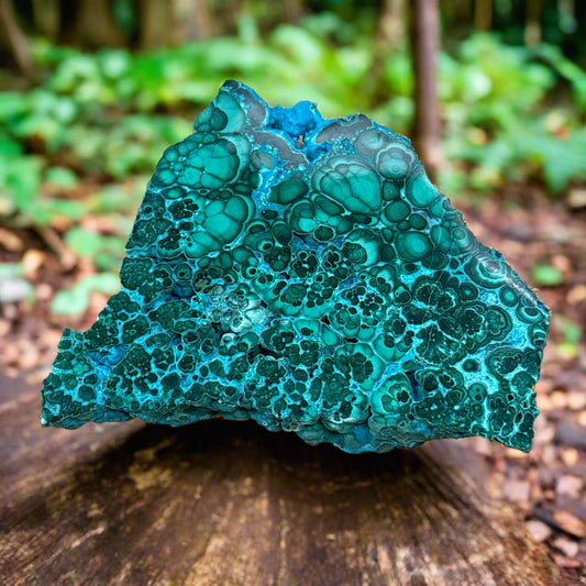 Polished Malachite Specimen, 191.97gr, 3x3x0.5"