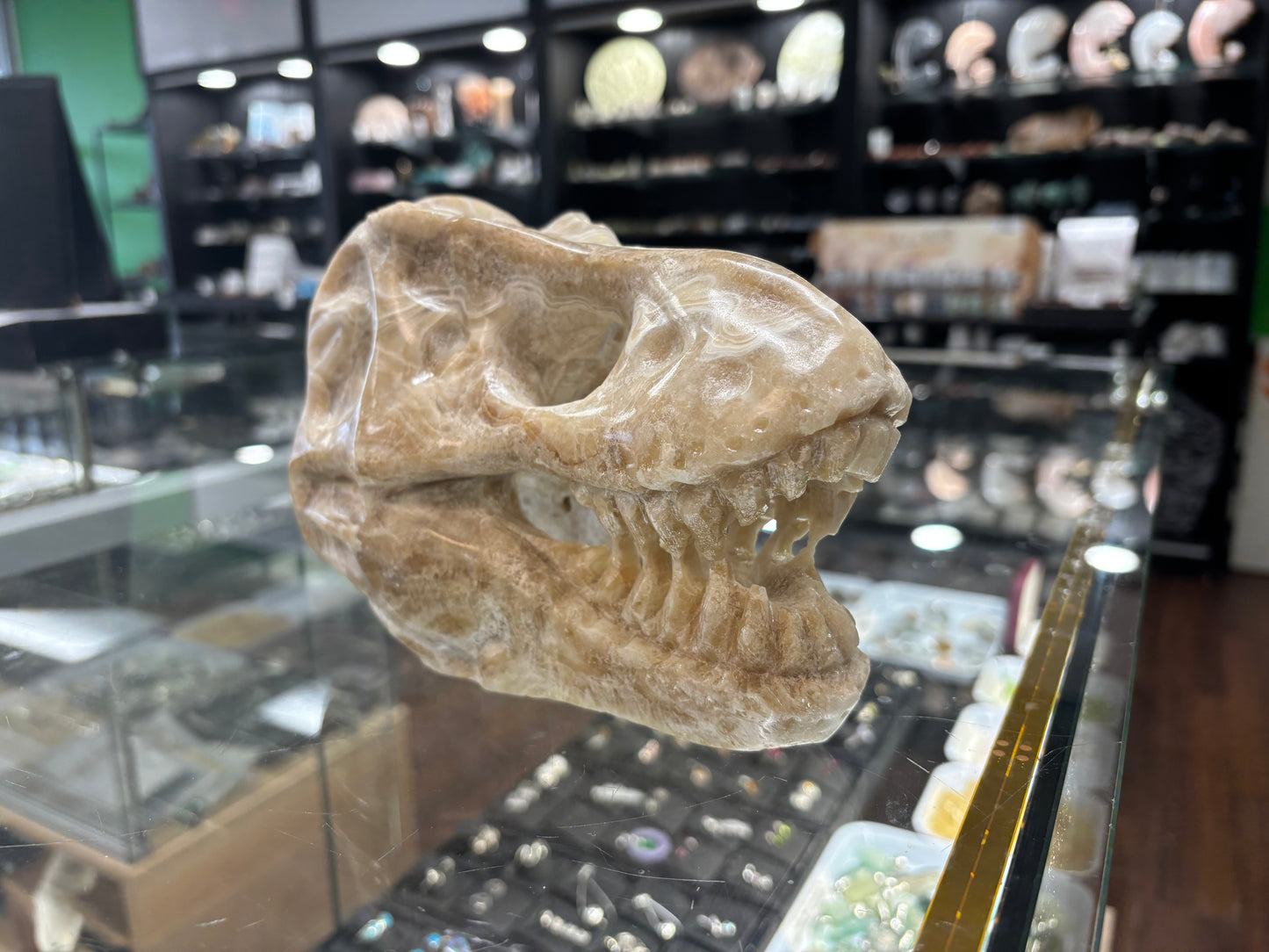 Onyx T-Rex Skull Carving, 6.5x4x5 Inches, 4.15LB - Brazil