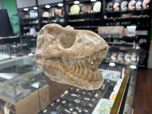 Onyx T-Rex Skull Carving, 6.5x4x5 Inches, 4.15LB - Brazil