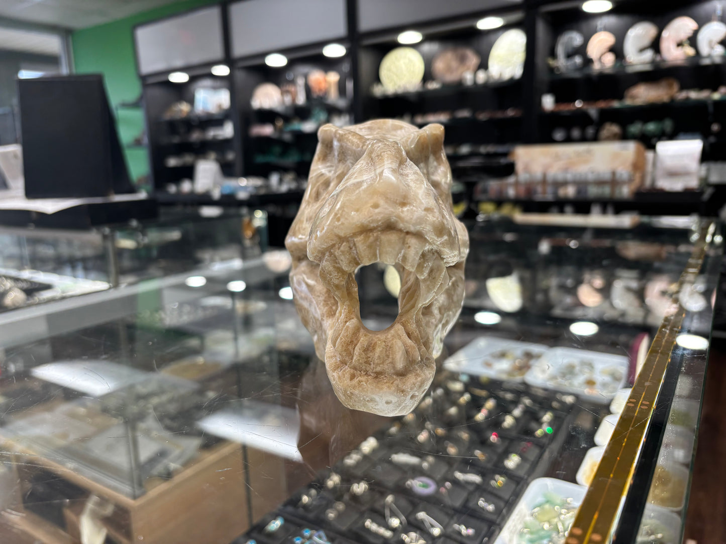 Onyx T-Rex Skull Carving, 6.5x4x5 Inches, 4.15LB - Brazil