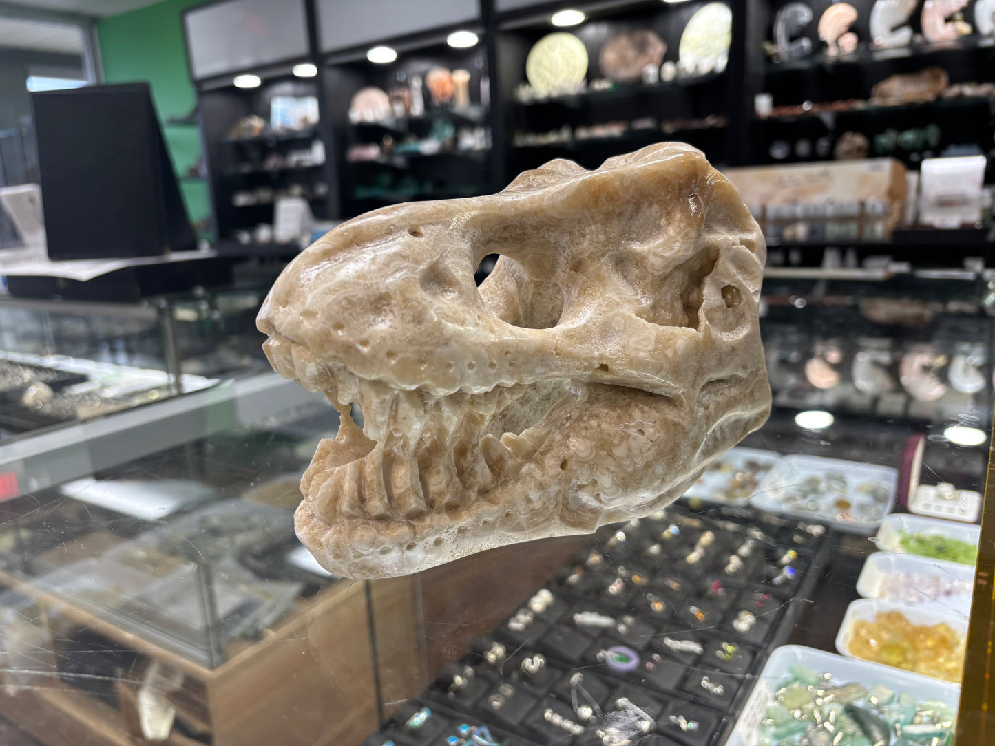 Onyx T-Rex Skull Carving, 6.5x4x5 Inches, 4.15LB - Brazil