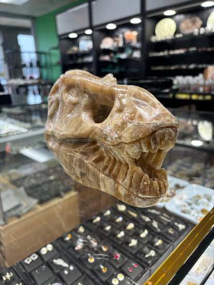 Onyx T-Rex Skull Carving, 6.5x4x5 Inches, 4.48LB - Brazil