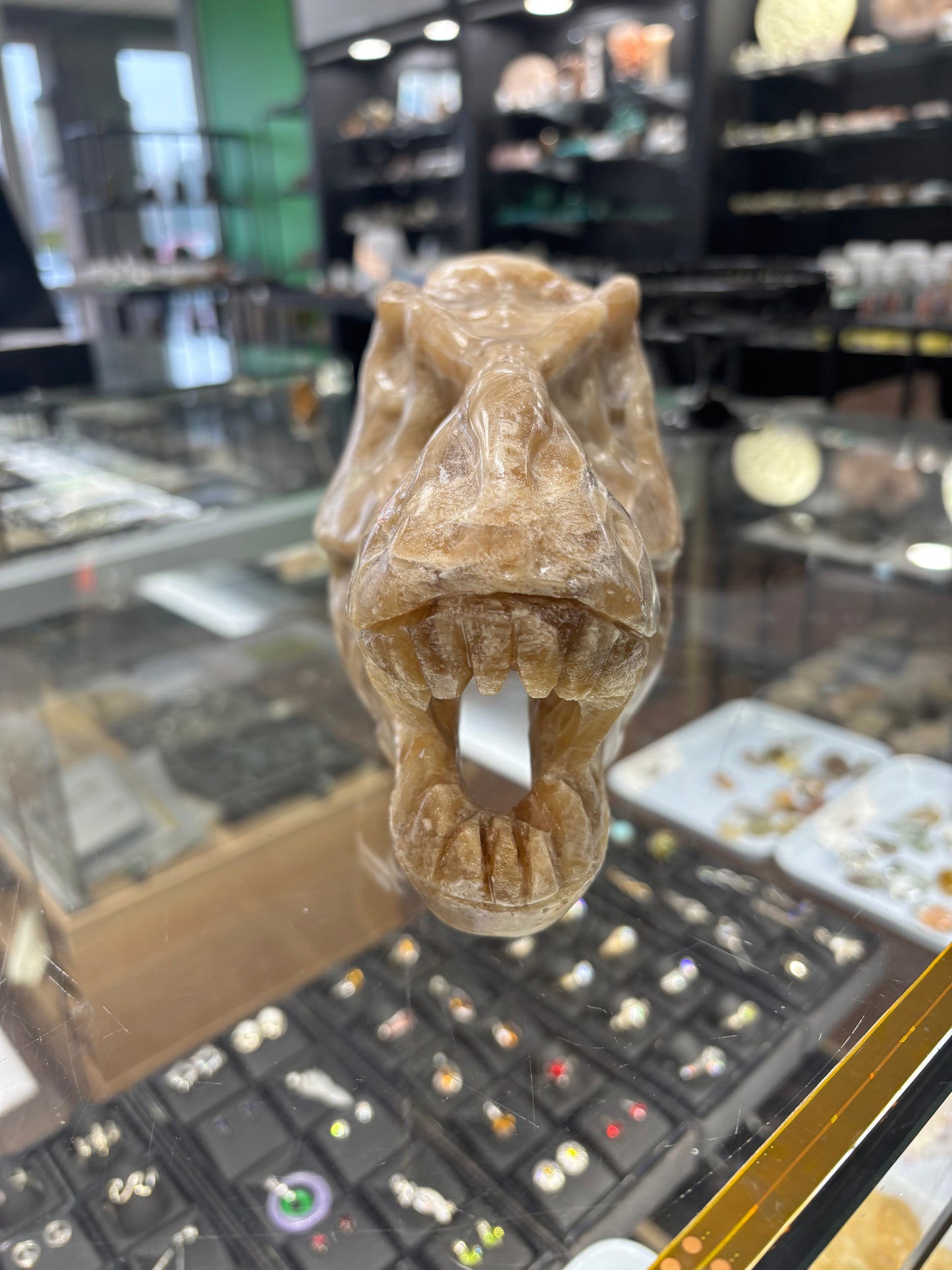 Onyx T-Rex Skull Carving, 6.5x4x5 Inches, 4.48LB - Brazil