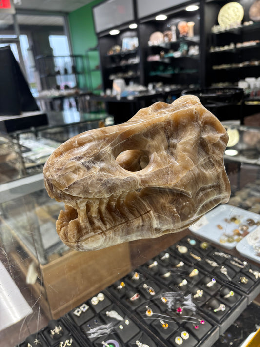 Onyx T-Rex Skull Carving, 6.5x4x5 Inches, 4.48LB - Brazil