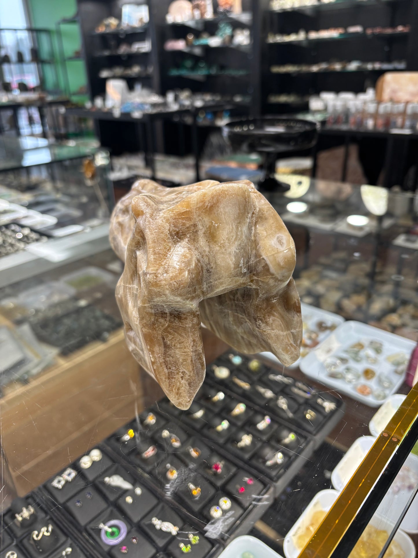 Onyx T-Rex Skull Carving, 6.5x4x5 Inches, 4.48LB - Brazil