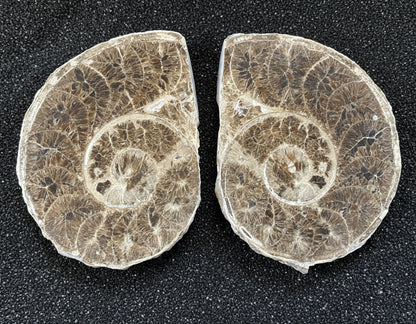 Large Polished Ammonite Matched Pair, 13x10x6cm, 1169gr, Morocco
