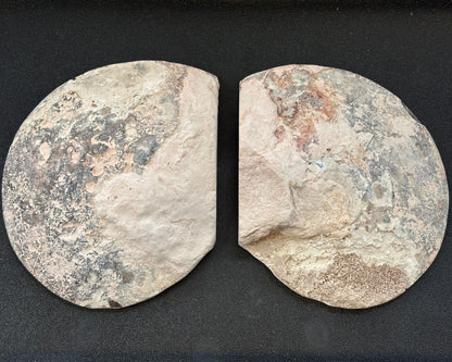 Large Polished Ammonite Matched Pair, 12x10x5cm, 743gr, Morocco