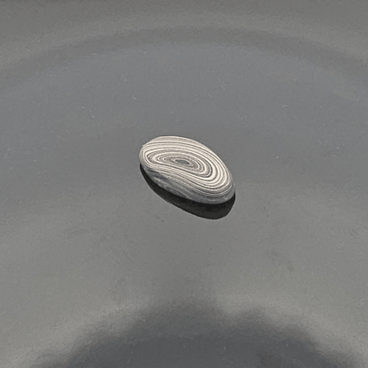 KC F-150 Plant Fordite 1960-1970 Free Form Cabocheon, 23x13x4mm, 5.95ct