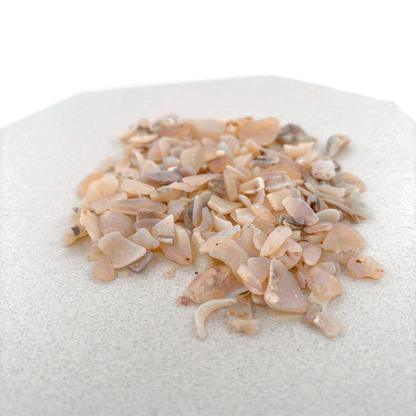 Opalized Shell Fragments from Australia, 225.8ct Parcel